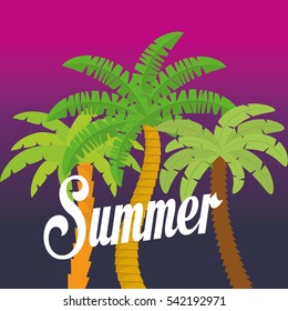 summer palms tree icon vector illustration graphic design