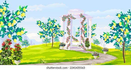 Summer panoramic landscape. Lemon garden with gazebo in weaving flowers, roses in pots, vector illustration