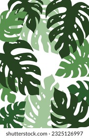 Summer paradise background with exotic Monstera leaves. Natural horizontal backdrop with foliage of rainforest jungle plants.