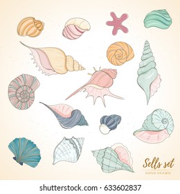 Summer paradise holiday marine set. Seashell illustration can be used for holiday cards, invitation, postcard, menu or website Hand draw underwater objects of sea shells and sea star