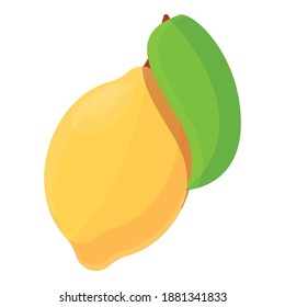 Summer party lemon icon. Cartoon of summer party lemon vector icon for web design isolated on white background