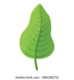 Summer party tree leaf icon. Cartoon of summer party tree leaf vector icon for web design isolated on white background