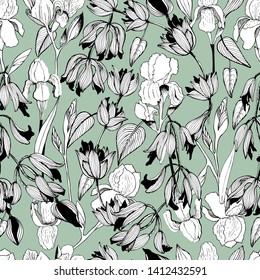 Summer pattern with beautiful flowers, iris. Hand draws field plants in ink. botanical illustration vintage. Sprig with leaves, buds, flowers. Design for print, vintage posters, wallpaper, textiles.
