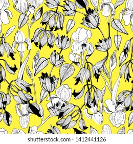 Summer pattern with beautiful flowers, iris. Hand draws field plants in ink. botanical illustration vintage. Sprig with leaves, buds, flowers. Design for print, vintage posters, wallpaper, textiles.