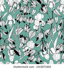 Summer pattern with beautiful line flowers. Hand draws field plants in ink. botanical illustration vintage. Sprig with leaves, buds, flowers. Design for print, vintage posters, wallpaper, textiles.