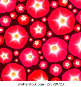 Summer pattern with flowers ipomoea red star