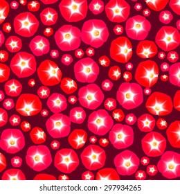 Summer pattern with flowers ipomoea red star