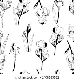 Summer pattern with flowers, iris. Hand draws field plants in ink. botanical illustration vintage. Sprig with leaves, buds, flowers. Design for print, vintage posters, wallpaper, textiles. - Stock 