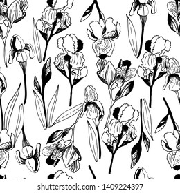 Summer pattern with flowers, iris. Hand draws field plants in ink. botanical illustration vintage. Sprig with leaves, buds, flowers. Design for print, vintage posters, wallpaper, textiles. - Stock 