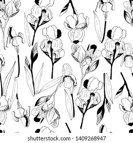 Summer pattern with flowers, iris. Hand draws field plants in ink. botanical illustration vintage. Sprig with leaves, buds, flowers. Design for print, vintage posters, wallpaper, textiles. - Stock 