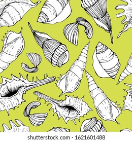 Summer pattern with seashells. Hand-drawn graphics marine theme, treasures of the ocean, sea. beautiful shells of different shapes. Seamless background on green, olive isolate for packaging, wallpaper