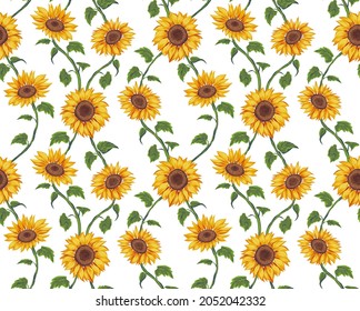 Summer pattern of sunflowers. Yellow flowers on a white background. Vector print.