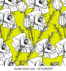 Summer pattern with wildflowers, dried flowers. Poppy, poppy box, medicinal herbs, spikelet. Beautiful hand-drawn graphics. For textile, wallpaper, design, paper, banner. Stock graphics, isolate. 