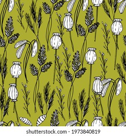 Summer pattern with wildflowers, dried flowers. Poppy, poppy box, medicinal herbs, spikelet. Beautiful hand-drawn graphics. For textile, wallpaper, design, paper, banner. Stock graphics, isolate. 