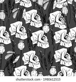Sommermuster mit Wildblumen, getrockneten Blumen. Mohn, Mohnkasten, Heilkräuter, Stachel. Schöne handgezeichnete Grafiken. Für Textilien, Tapeten, Design, Papier, Banner. Stockgrafiken, isolieren. 