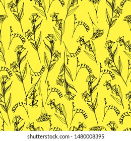 Summer pattern with wildflowers. Hand draws autumn plants with ink. botanical vintage illustration. Branches with leaves, flowers. Design for print, packaging, wallpaper, textile, isolated background.