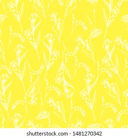 Summer pattern with wildflowers. Hand draws autumn plants with ink. botanical vintage illustration. Branches with leaves, flowers. Design for print, packaging, wallpaper, textile, isolated background.