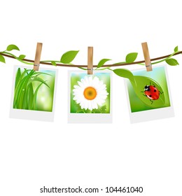 Summer Photos With Clothespins, Isolated On White Background, Vector Illustration