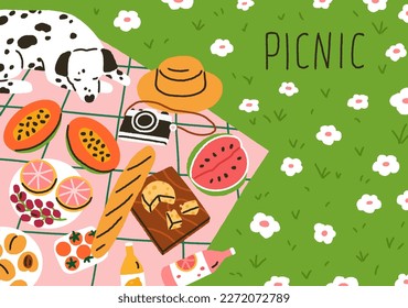 Summer picnic card design. Food, fruits, baguette on blanket on grass and cute dog on weekend. Holiday outdoor eating, doggy on flower meadow, nature background. Colored flat vector illustration.