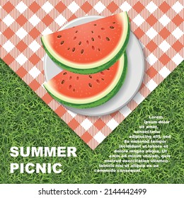 Summer picnic in the park on the grass. Top view. Watermelon on a plate. View from above.