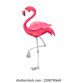 Summer pink flamingo. Tropical cocktail, flamingo, Hawaiian flower, fruits, ice cream, watermelon isolated on white. Vector illustration