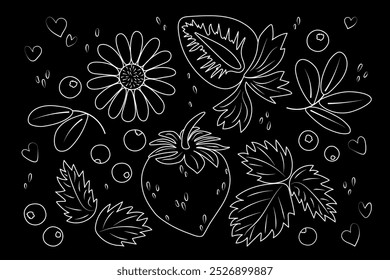 Conjunto de plantas de verano de manzanilla, fresas, arándanos, hojas en estilo plano. Dibujo editable de Vector con tiza blanca sobre fondo negro. Diseño de embalaje natural para plantas farmacéuticas, dietéticas