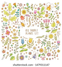 Summer plants set. Various flowers and leaves. Vector contour colorful image. Doodle bugs.