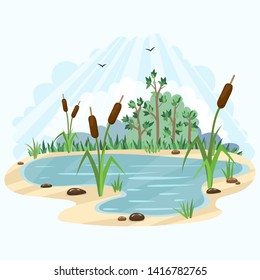 summer pond with reeds, stones, and a background of trees and clouds