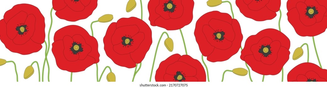 summer poppy flowers banner- vector illustration