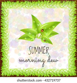 Summer positive postcard for congratulations with beginning of summer. Green leaves with dew drops and ladybugs. Summer card. Summer background. Summer vector illustration