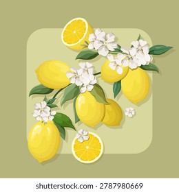 Summer poster with ripe lemons and flowers. Vector illustration.
