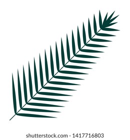 summer poster with tropical and exotic leaf plant