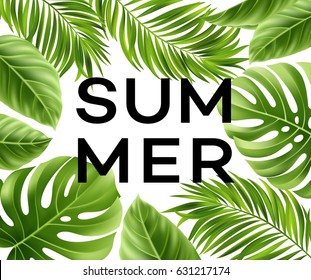 Summer poster with tropical palm leaf . Vector illustration EPS10