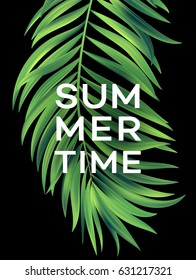 Summer poster with tropical palm leaf . Vector illustration EPS10