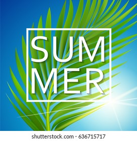 Summer poster with tropical palm leaf . Vector illustration