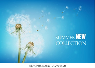 Summer poster with wither dandelion and flying seeds on blue sky background realistic vector illustration  