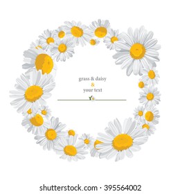 summer print with daisies