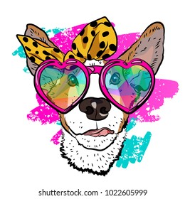 ?ool summer print for your T-shirt with fashionable dog. Colorful vector design.