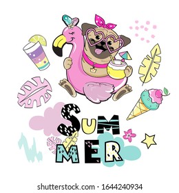 Summer pug dog on an inflatable flamingo and the inscription summer on a white background isolated