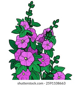 Summer purple mallow flower isolated on a white background