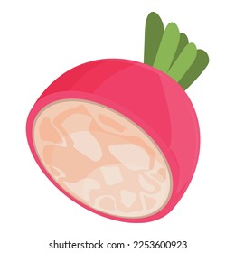 Vector de dibujos animados del icono del rábano de verano. Una dieta saludable. Color de la vitamina