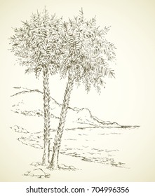 Summer rainforest scenery view with space for text on white sky backdrop. Old high lush coco plant on bay sand. Freehand outline ink hand drawn picture sketch in art retro doodle style pen on paper