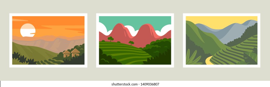 Summer rainforest tropical background set. Vector illustration 