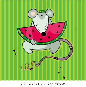 Summer rat with water-melon. To see similar, please VISIT MY GALLERY.

