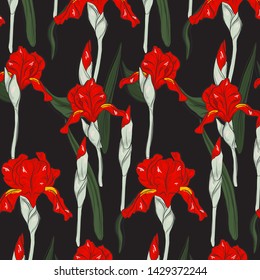 Summer red  iris blossom hand drawn  print. Modern bloom botany colorful pattern on black background. Natural watercolor spring flower illustration. 