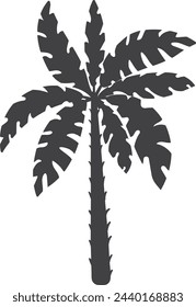 Summer resort plant. Black palm. Tree silhouette