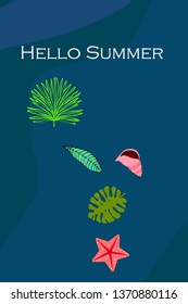 Summer rest. Starfish, seashell, leaves of tropical plants. Vector background