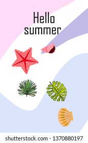 Summer rest. Starfish, seashell, leaves of tropical plants. Vector background