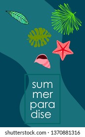 Summer rest. Starfish, seashell, leaves of tropical plants. Vector background