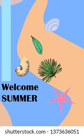 Summer rest. Starfish, seashell, leaves of tropical plants. Vector background